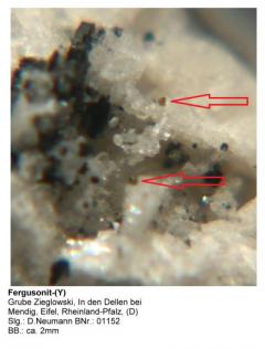 Fergusonit-(Y) - Grube Zieglowski, In den Dellen bei Mendig, Eifel, Rheinland-Pfalz, (D) - Slg. D.Neumann BNr. 01152.JPG